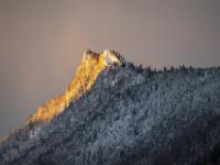Erste goldene Morgensonne am Zellerhorn